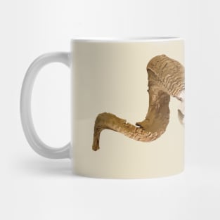 Ram's Skull Skeleton Mug